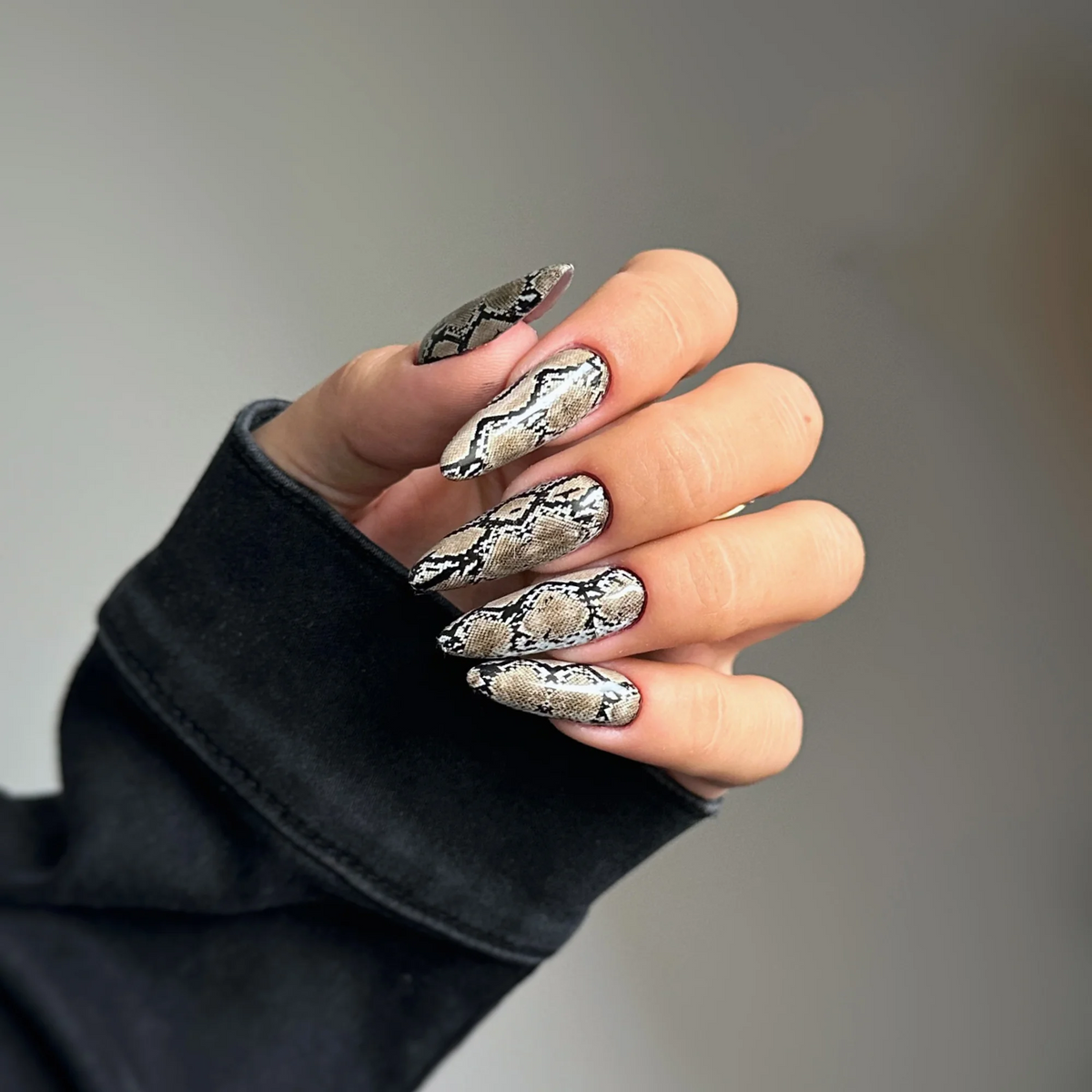 Animal Print 2 Transfer Foil - 1 PCS