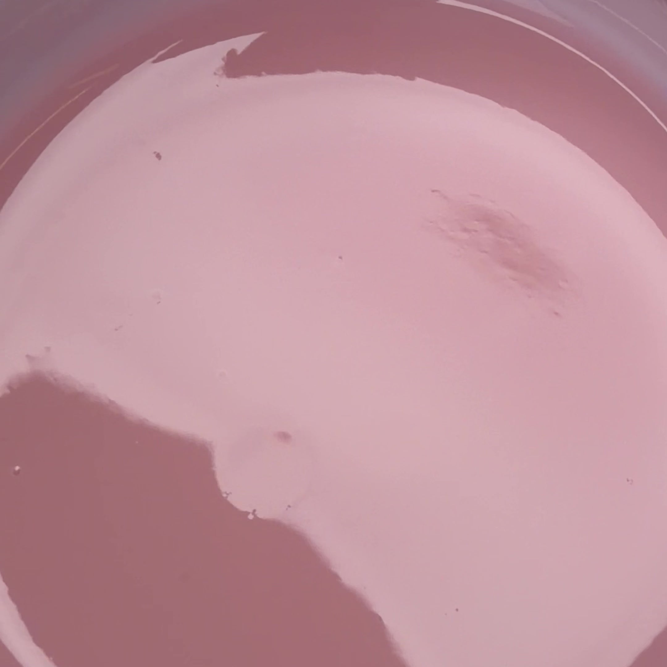 MEMORY GEL - MILKSHAKE HEMA/TPO FREE